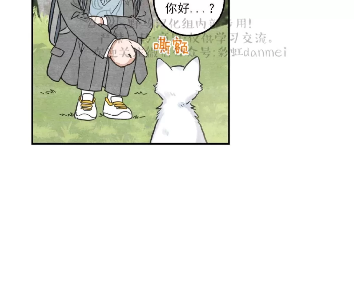 《我的专属喵喵/我的专属猫咪》漫画最新章节 第10话 免费下拉式在线观看章节第【16】张图片