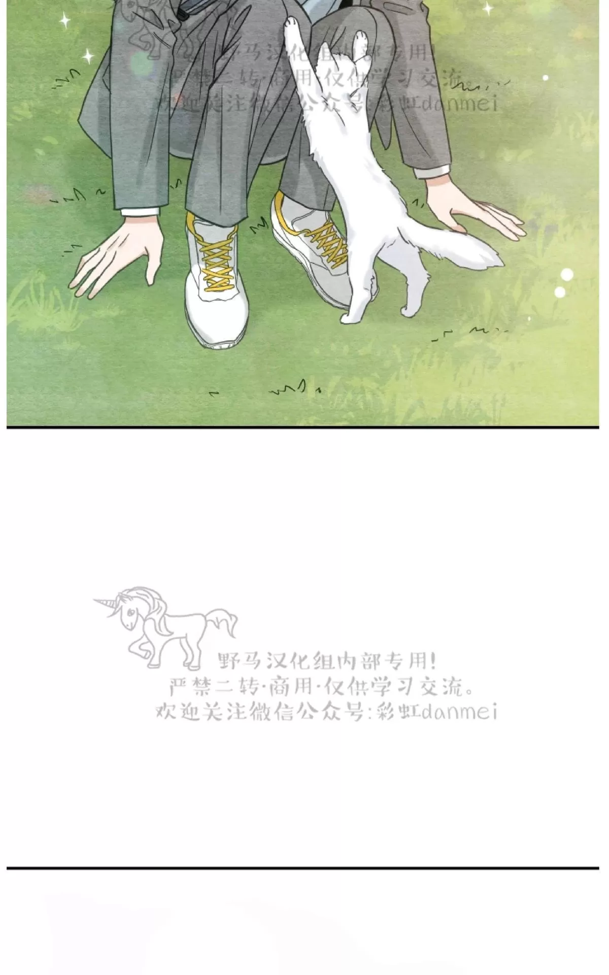 《我的专属喵喵/我的专属猫咪》漫画最新章节 第10话 免费下拉式在线观看章节第【21】张图片