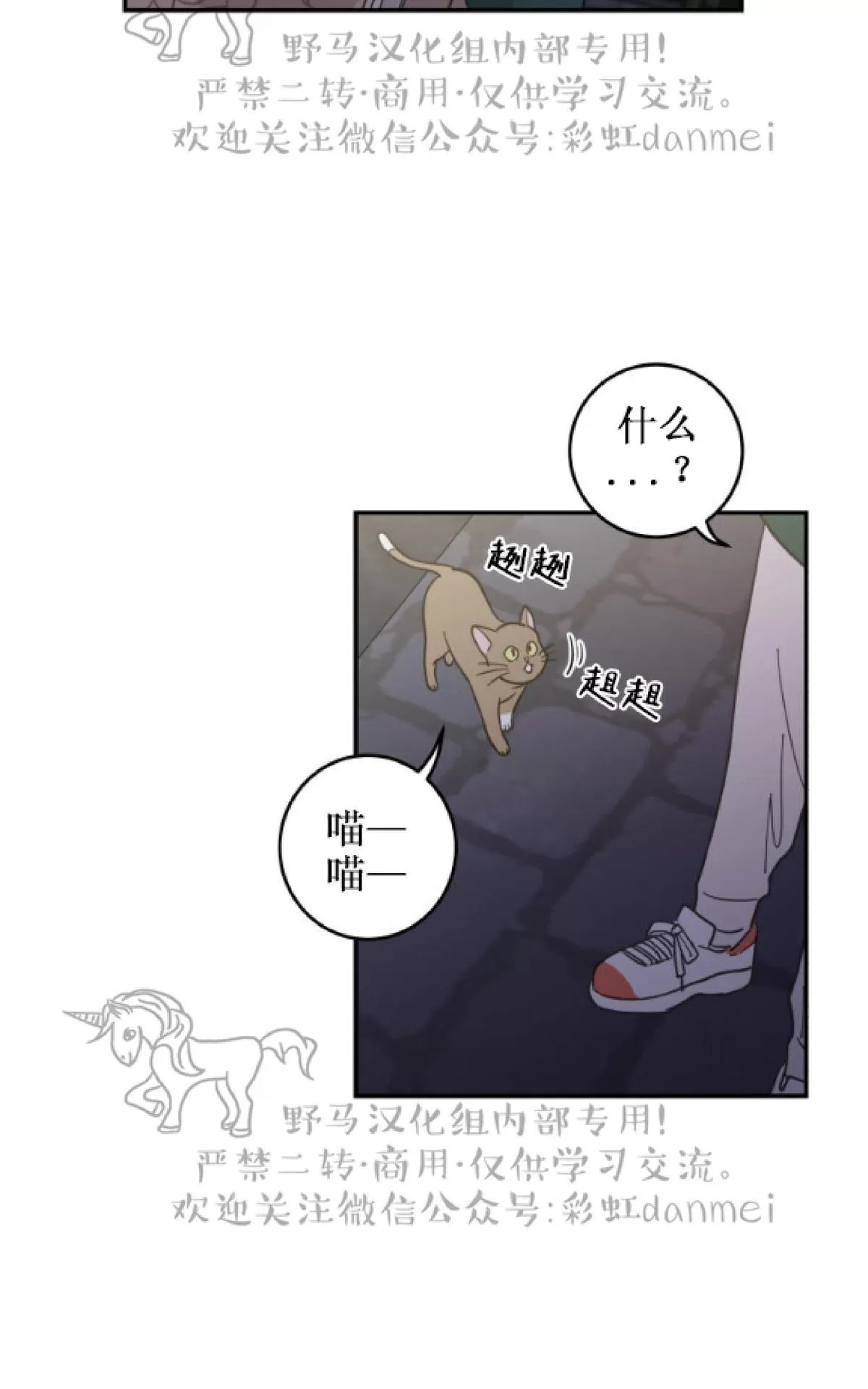 《我的专属喵喵/我的专属猫咪》漫画最新章节 第9话 免费下拉式在线观看章节第【16】张图片