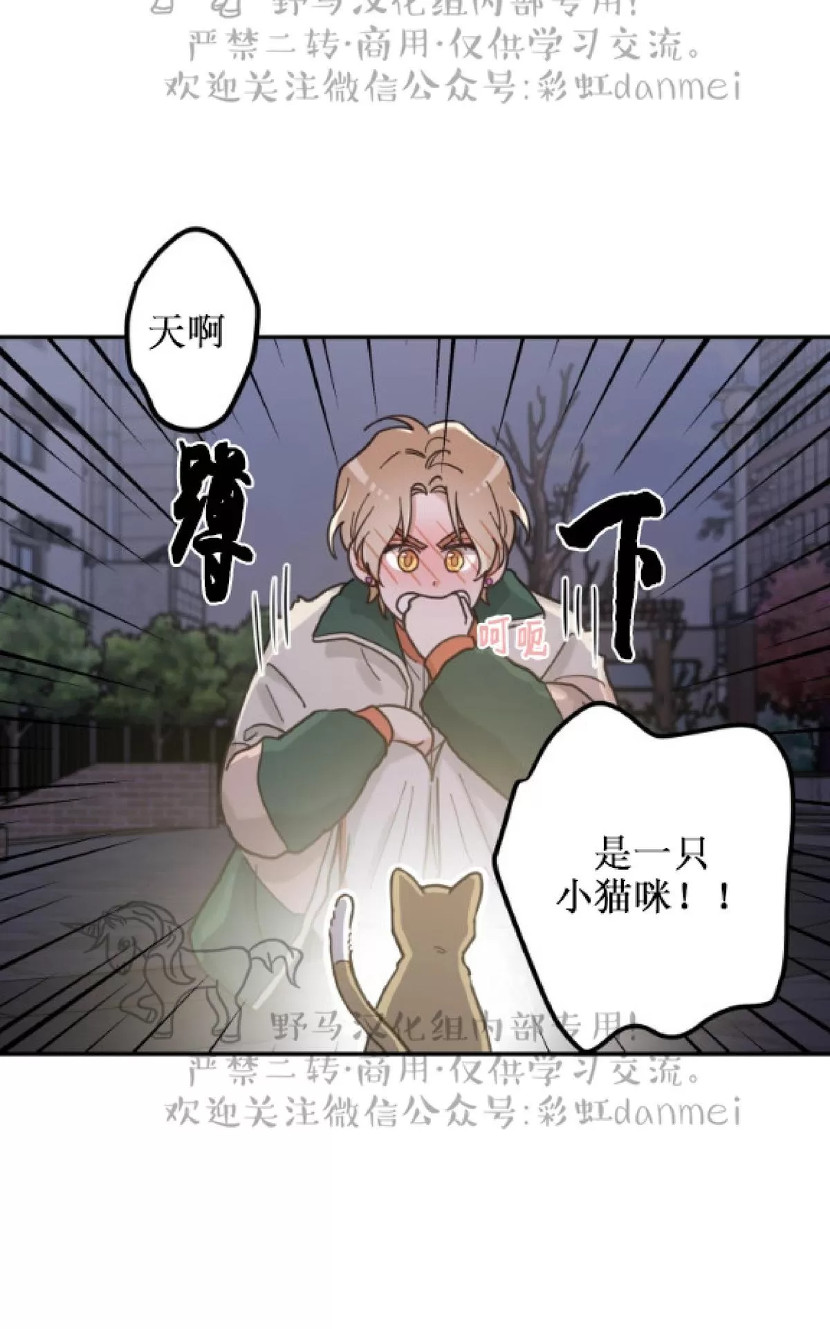 《我的专属喵喵/我的专属猫咪》漫画最新章节 第9话 免费下拉式在线观看章节第【18】张图片