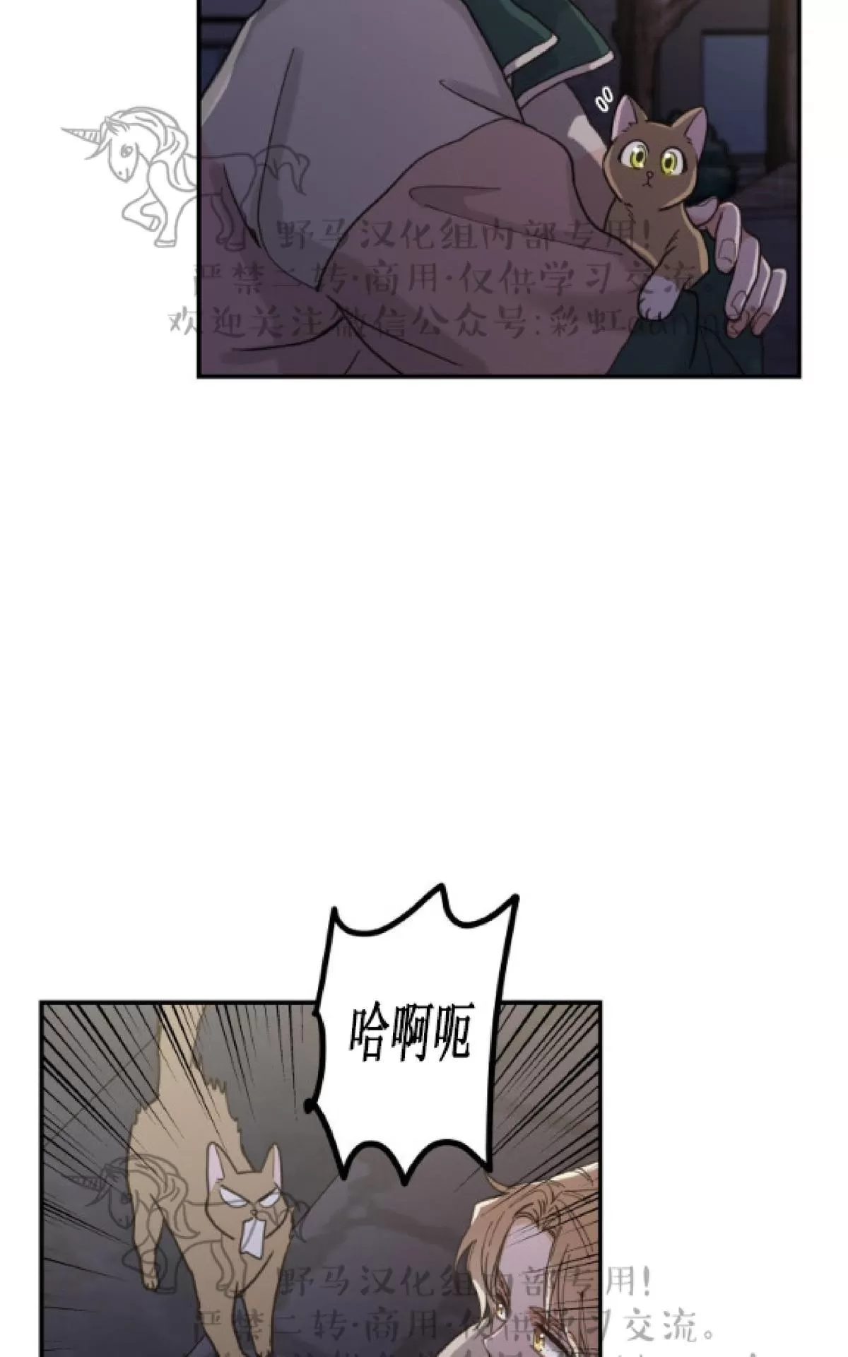 《我的专属喵喵/我的专属猫咪》漫画最新章节 第9话 免费下拉式在线观看章节第【24】张图片