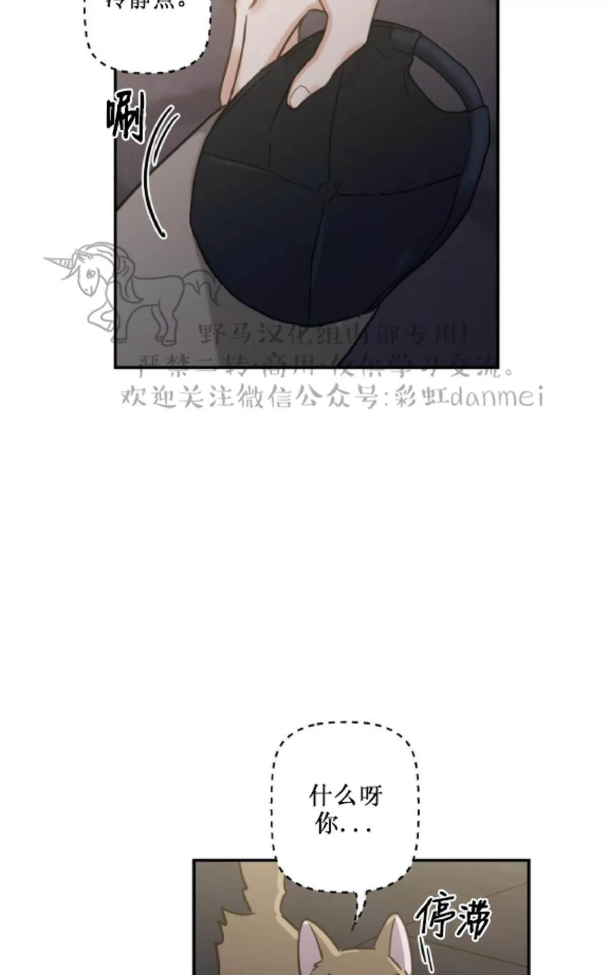 《我的专属喵喵/我的专属猫咪》漫画最新章节 第9话 免费下拉式在线观看章节第【30】张图片