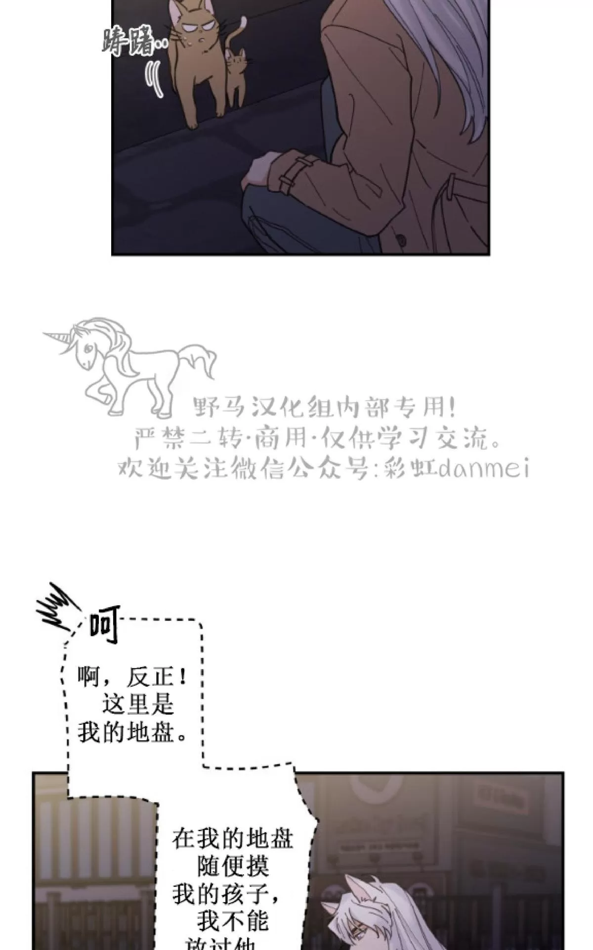 《我的专属喵喵/我的专属猫咪》漫画最新章节 第9话 免费下拉式在线观看章节第【33】张图片