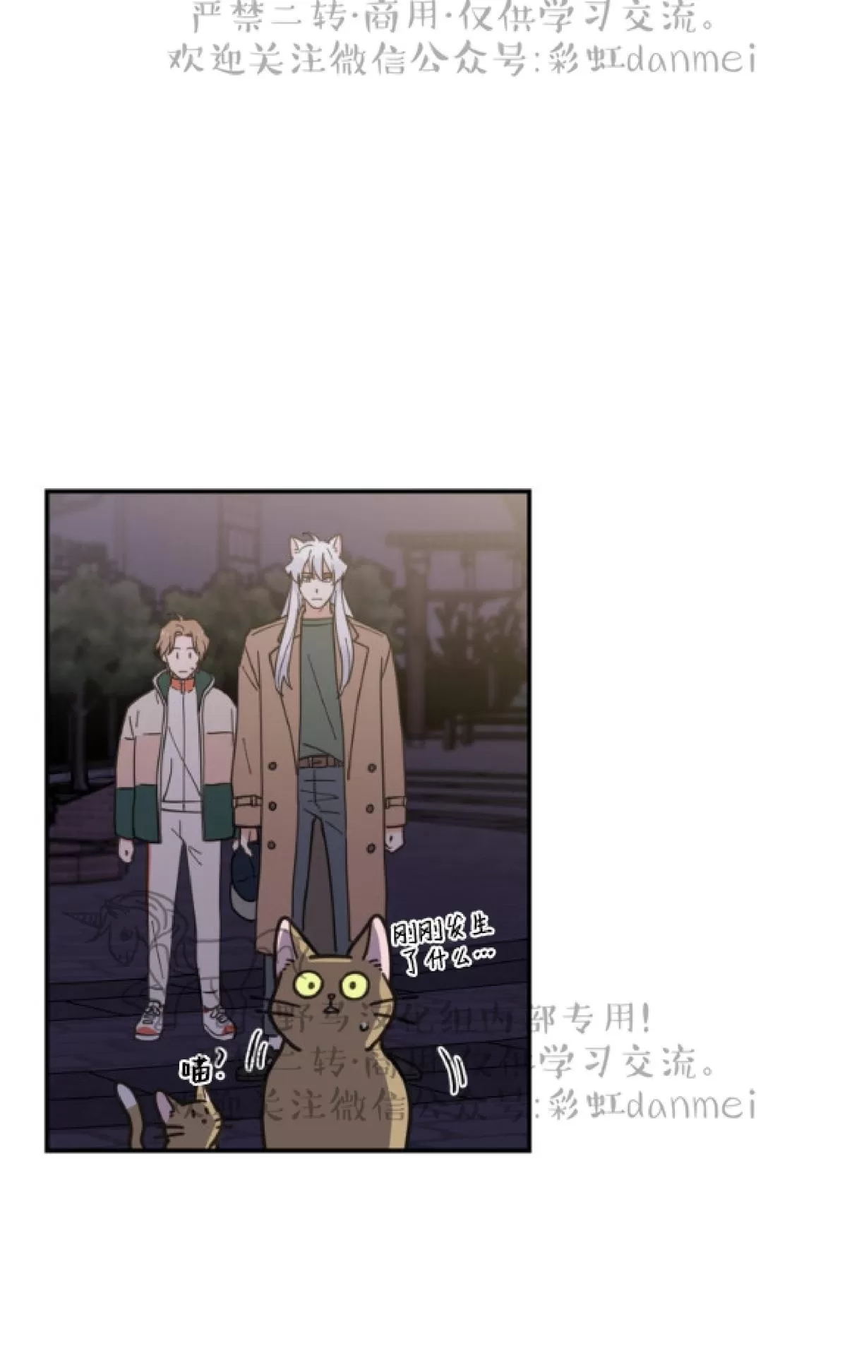 《我的专属喵喵/我的专属猫咪》漫画最新章节 第9话 免费下拉式在线观看章节第【39】张图片