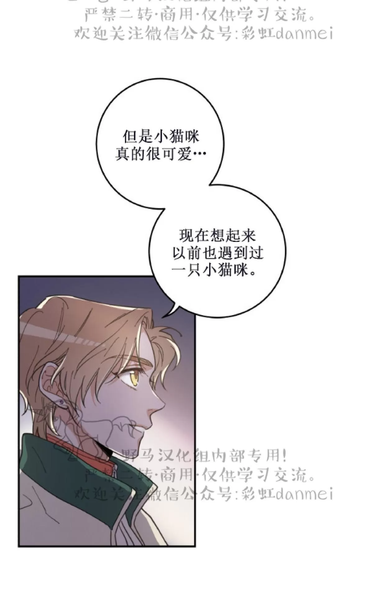 《我的专属喵喵/我的专属猫咪》漫画最新章节 第9话 免费下拉式在线观看章节第【50】张图片