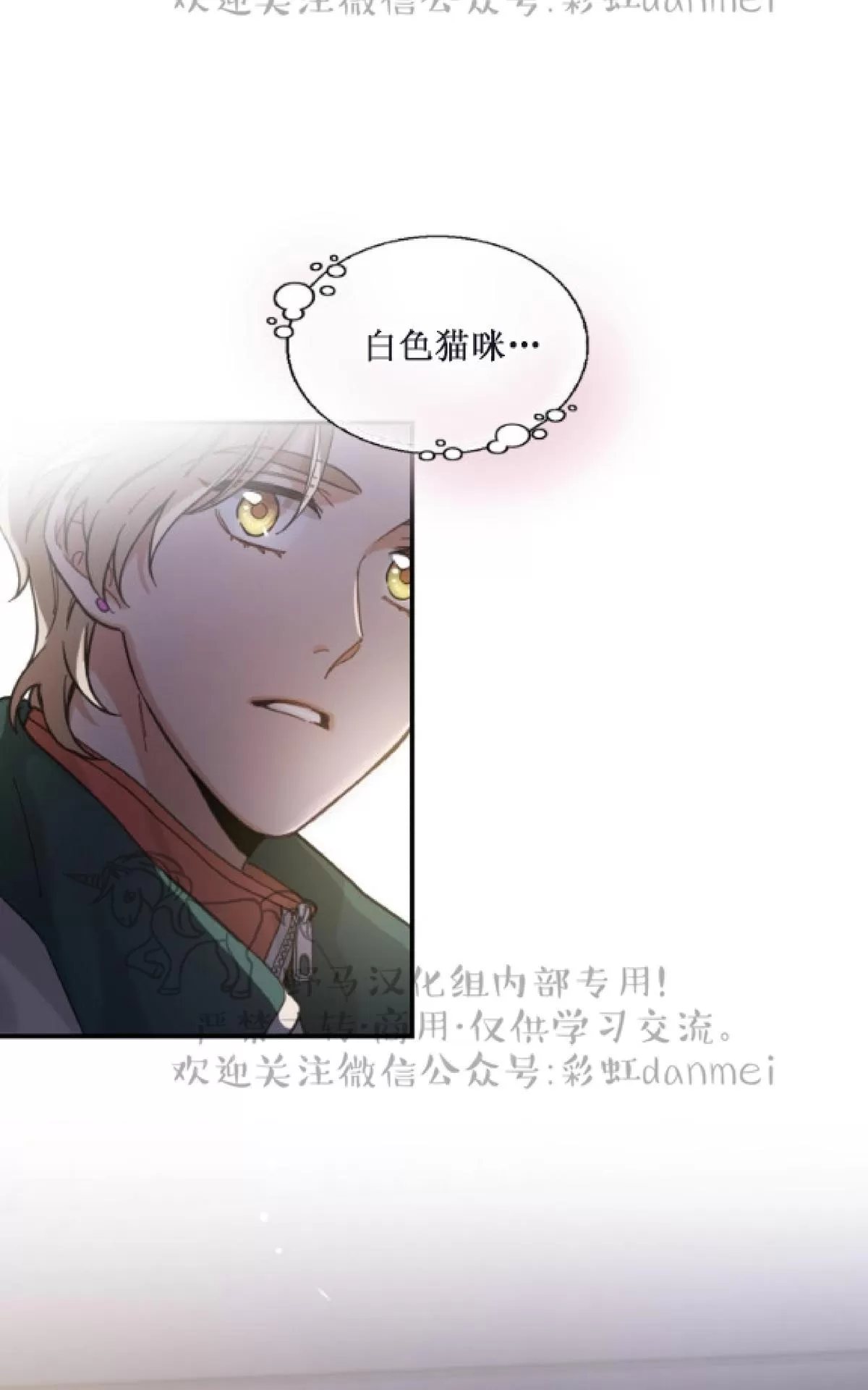 《我的专属喵喵/我的专属猫咪》漫画最新章节 第9话 免费下拉式在线观看章节第【57】张图片