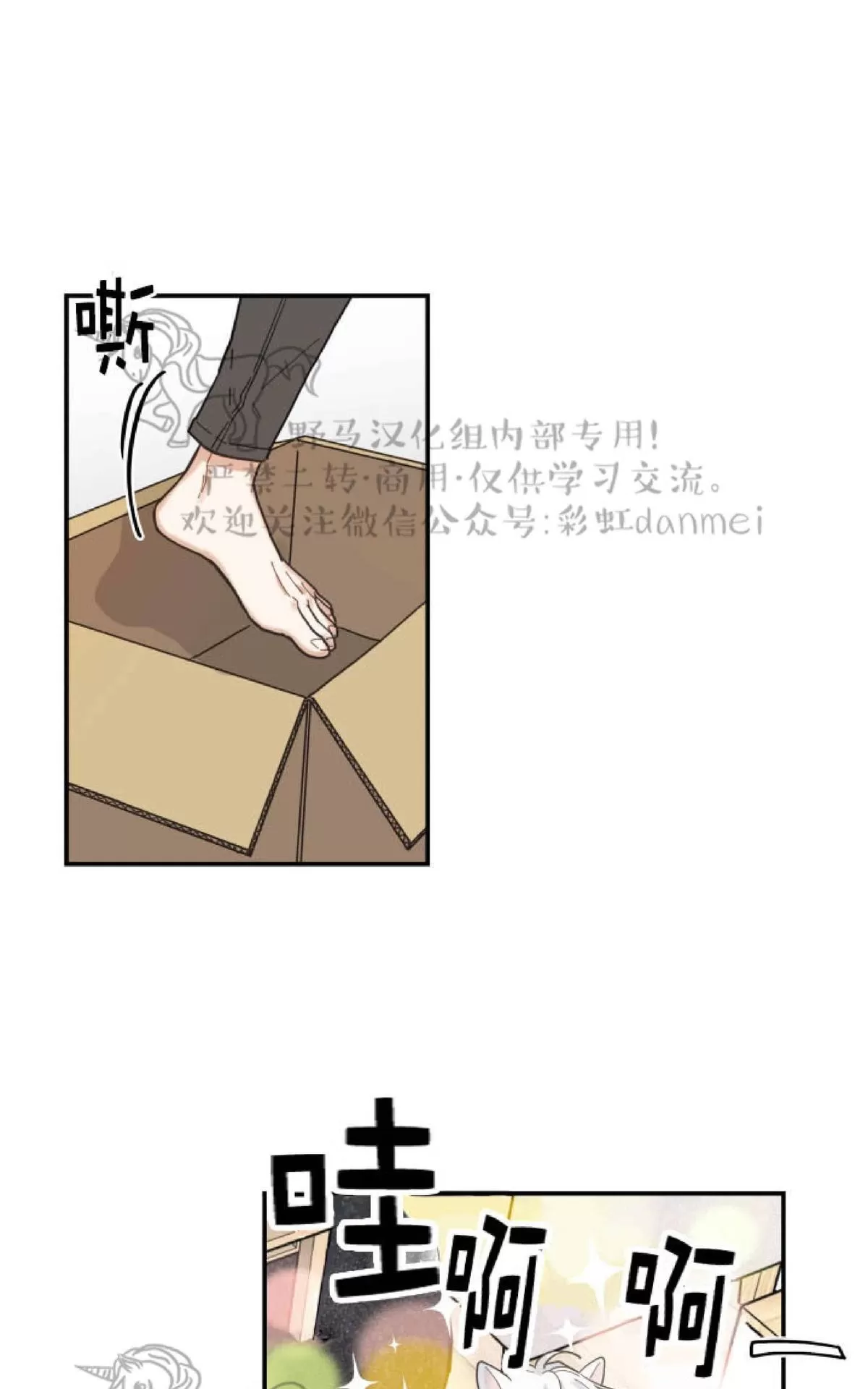 《我的专属喵喵/我的专属猫咪》漫画最新章节 第7话 免费下拉式在线观看章节第【15】张图片