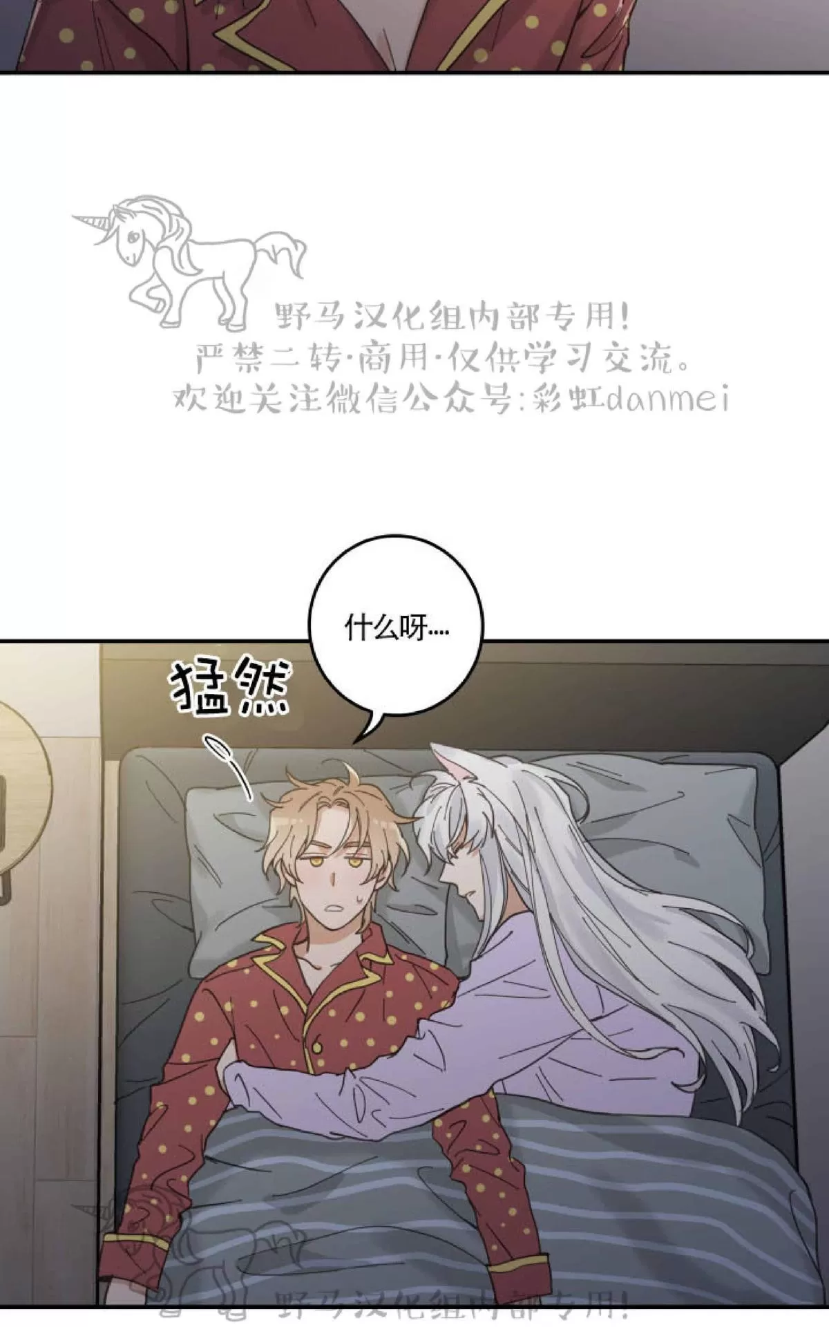 《我的专属喵喵/我的专属猫咪》漫画最新章节 第7话 免费下拉式在线观看章节第【50】张图片