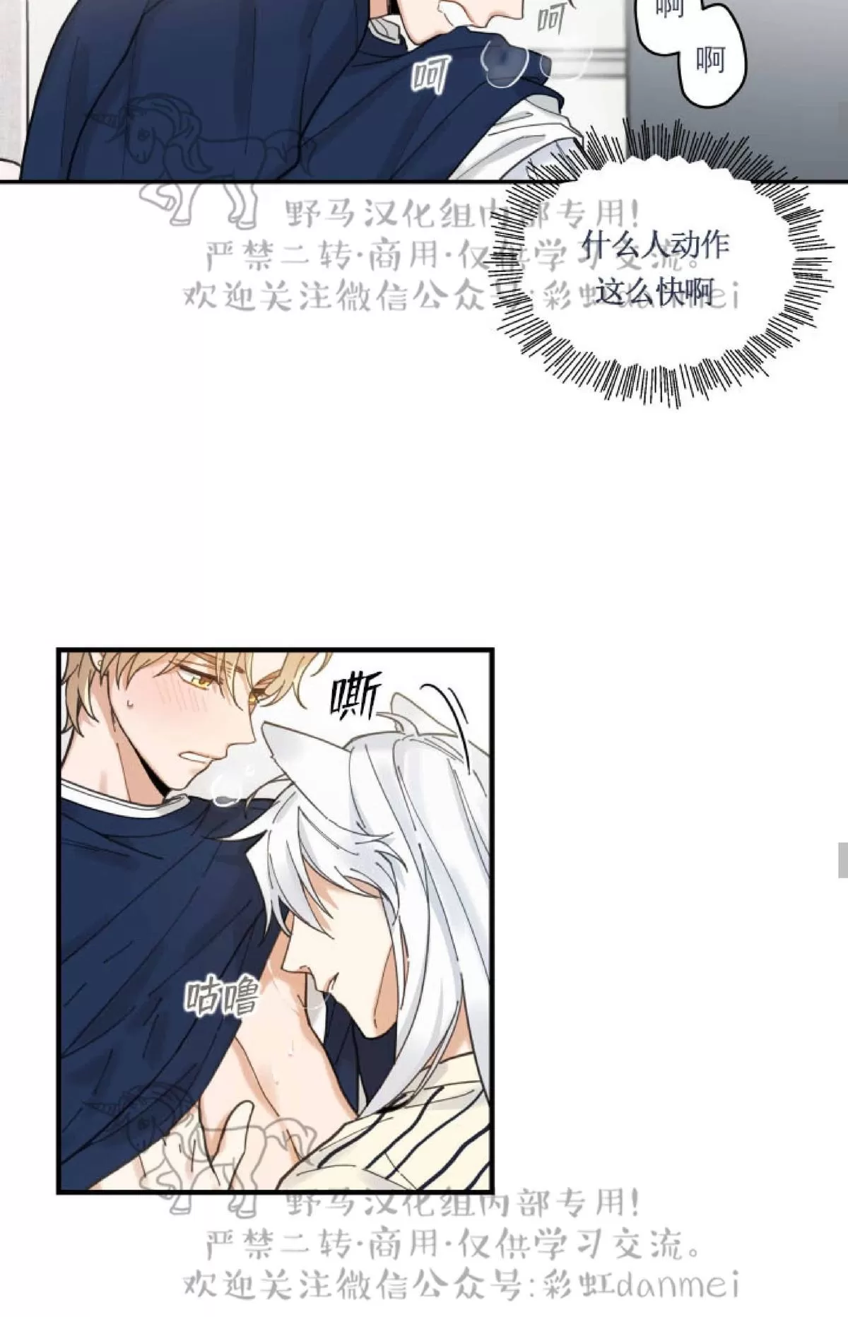 《我的专属喵喵/我的专属猫咪》漫画最新章节 第6话 免费下拉式在线观看章节第【23】张图片