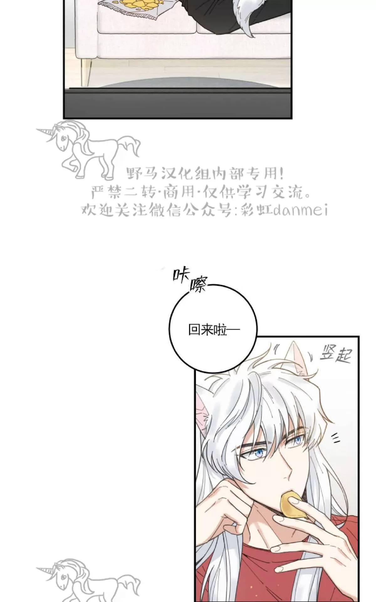 《我的专属喵喵/我的专属猫咪》漫画最新章节 第6话 免费下拉式在线观看章节第【3】张图片