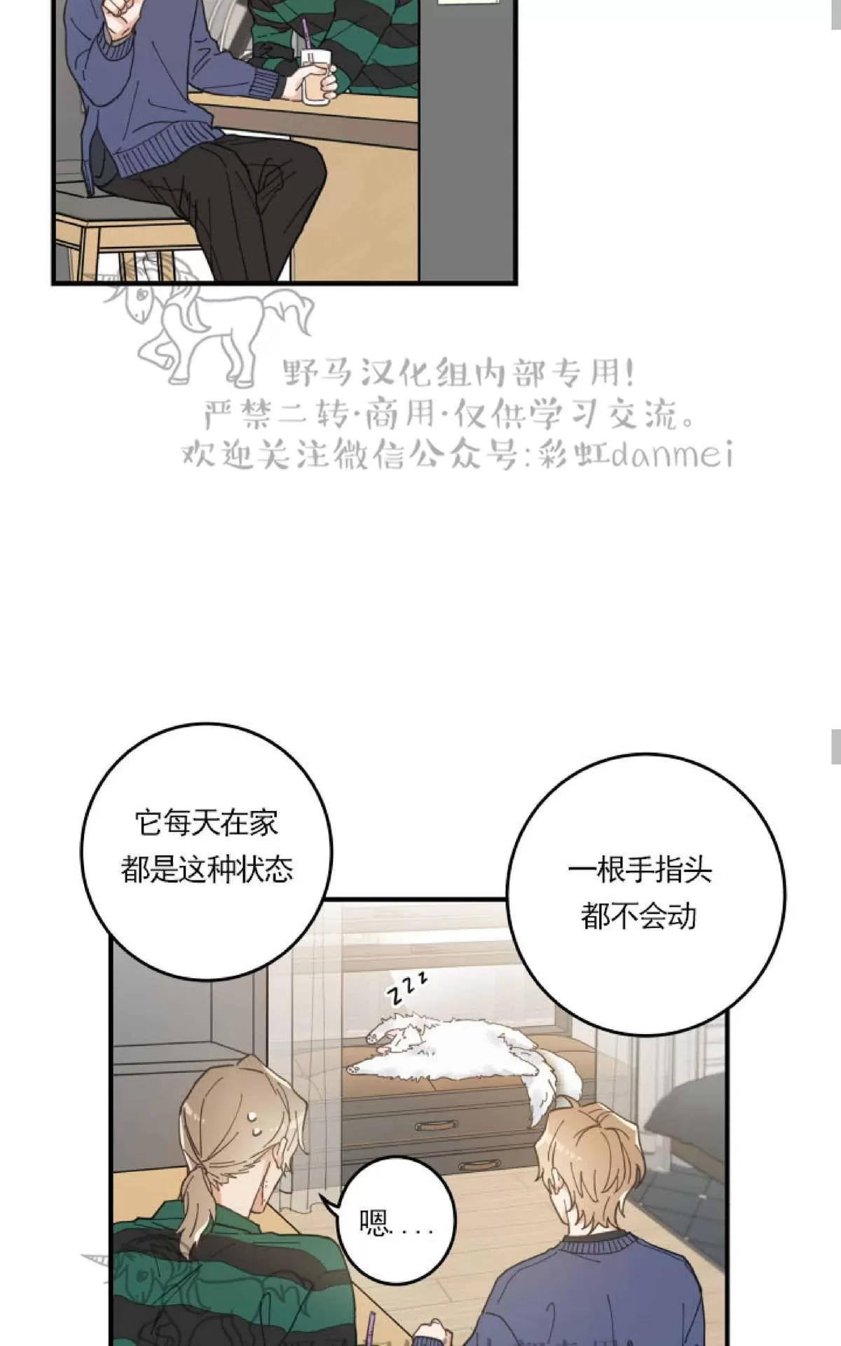 《我的专属喵喵/我的专属猫咪》漫画最新章节 第6话 免费下拉式在线观看章节第【36】张图片