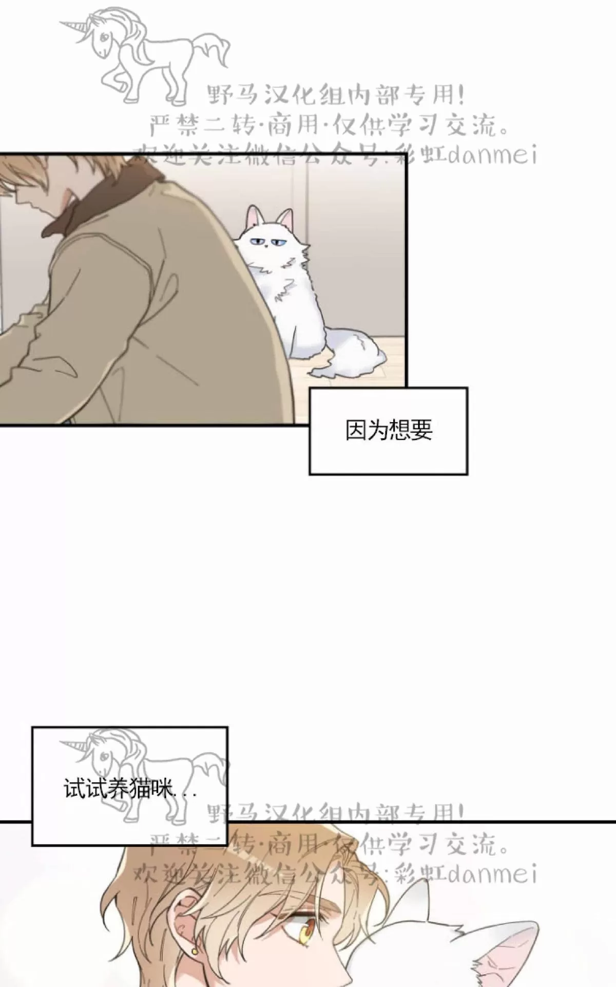 《我的专属喵喵/我的专属猫咪》漫画最新章节 第6话 免费下拉式在线观看章节第【45】张图片