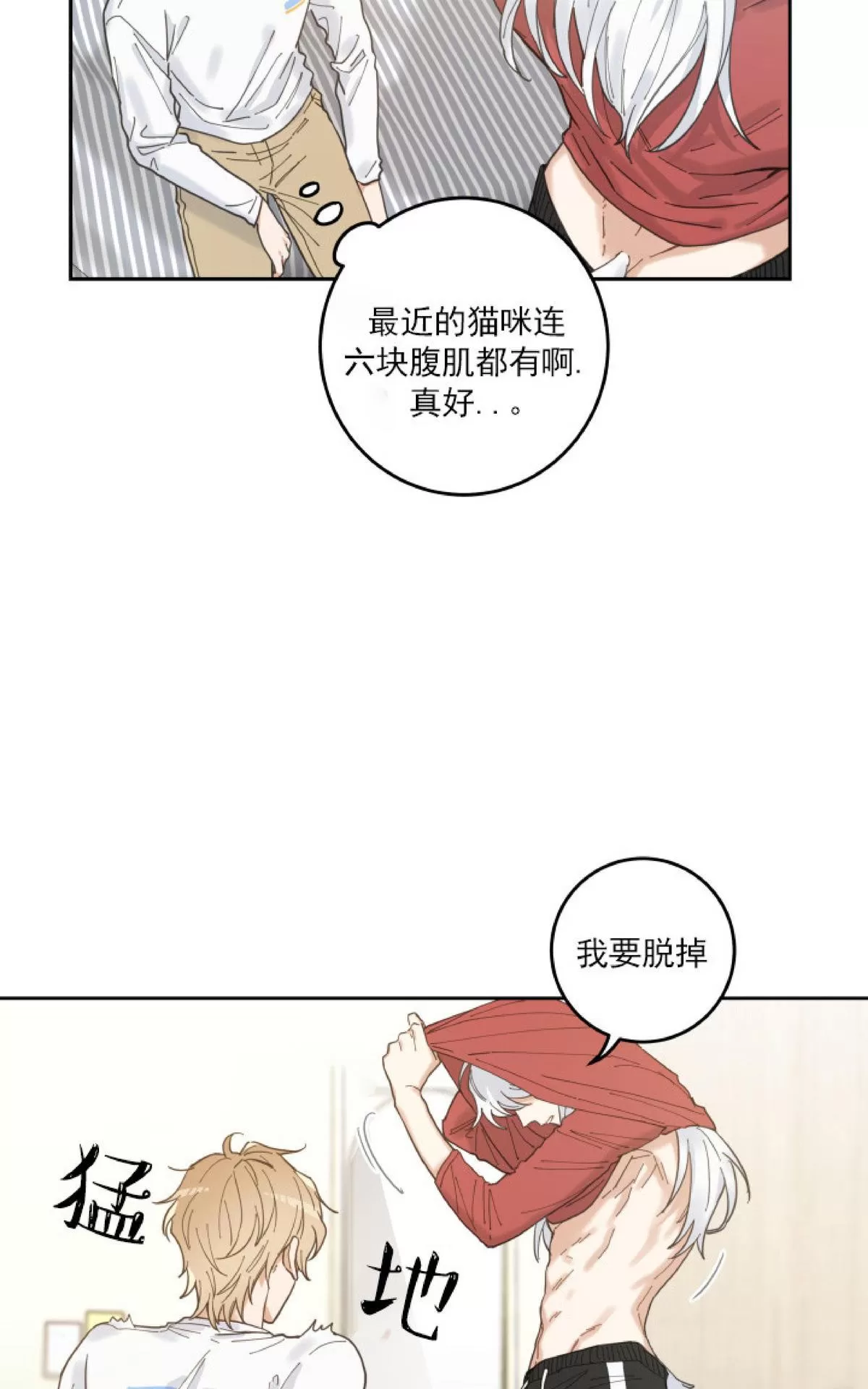 《我的专属喵喵/我的专属猫咪》漫画最新章节 第5话 免费下拉式在线观看章节第【39】张图片