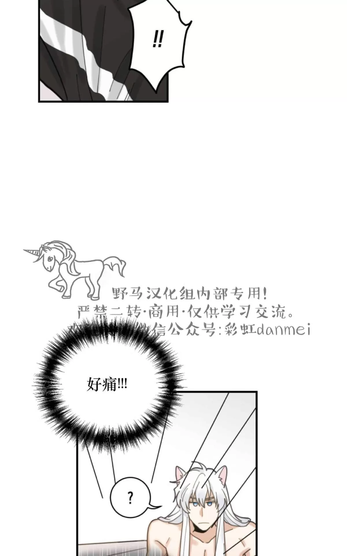 《我的专属喵喵/我的专属猫咪》漫画最新章节 第4话 免费下拉式在线观看章节第【7】张图片