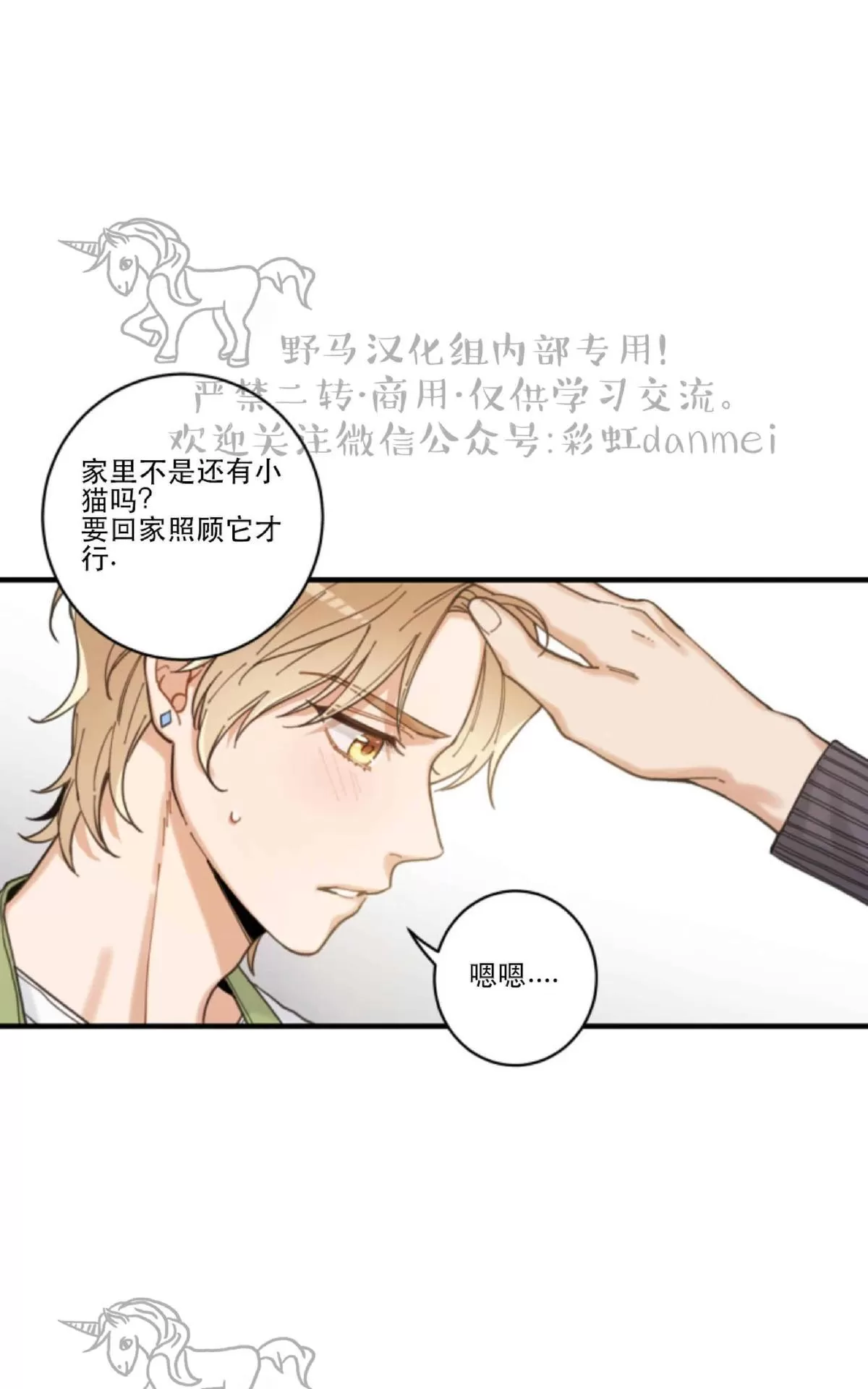 《我的专属喵喵/我的专属猫咪》漫画最新章节 第4话 免费下拉式在线观看章节第【70】张图片