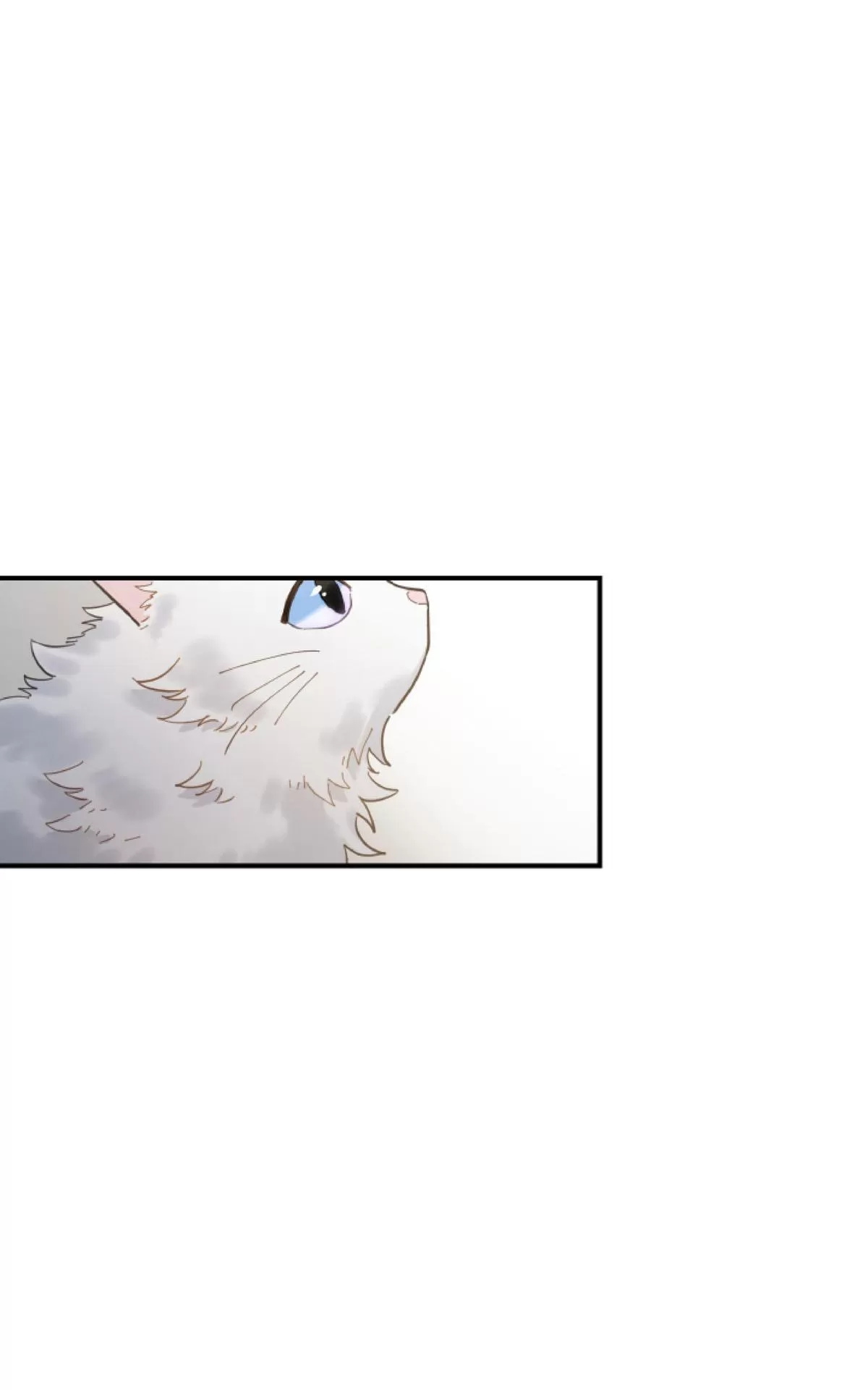 【我的专属喵喵/我的专属猫咪[耽美]】漫画-（ 第2话 ）章节漫画下拉式图片-19.jpg
