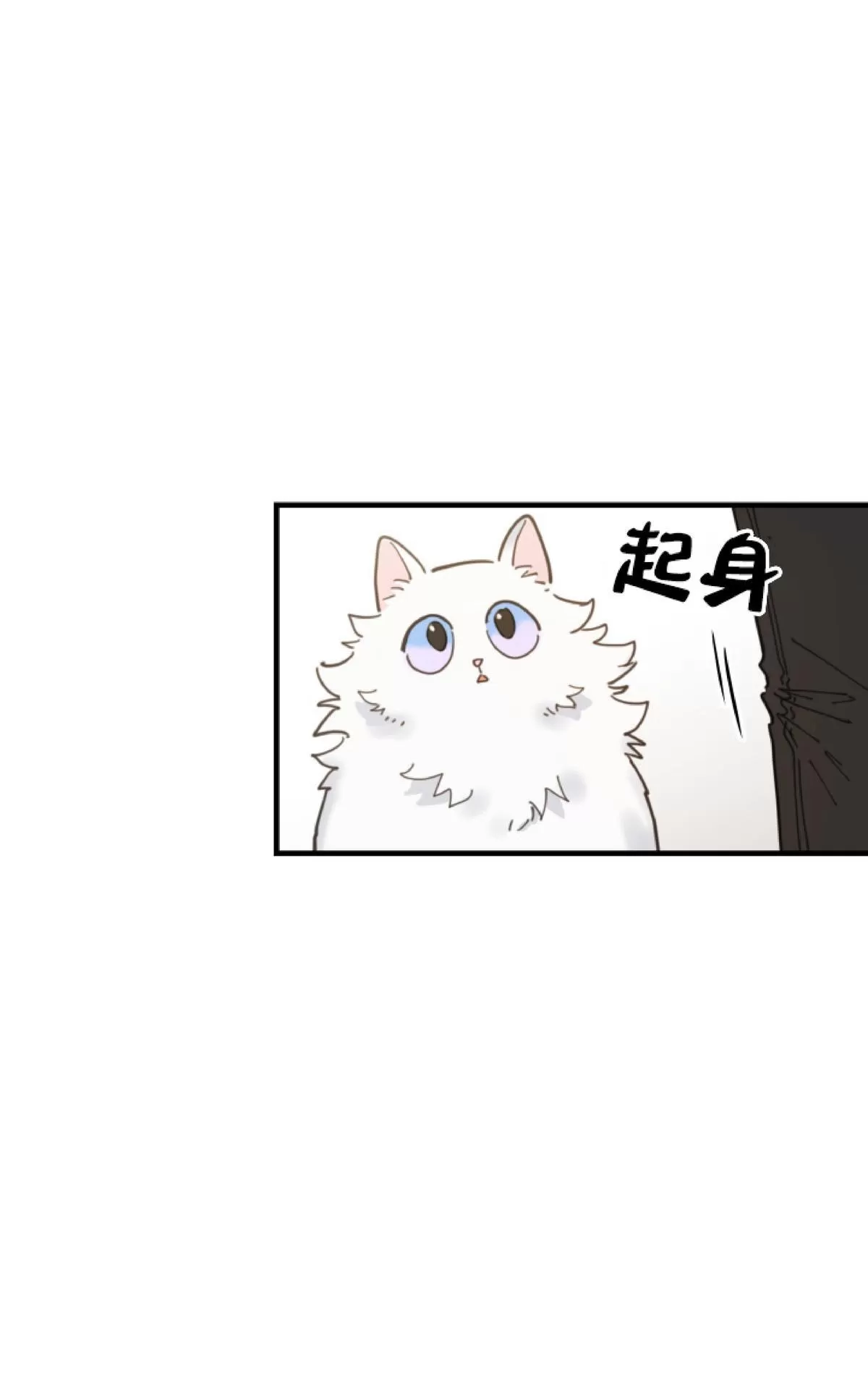 【我的专属喵喵/我的专属猫咪[耽美]】漫画-（ 第2话 ）章节漫画下拉式图片-45.jpg