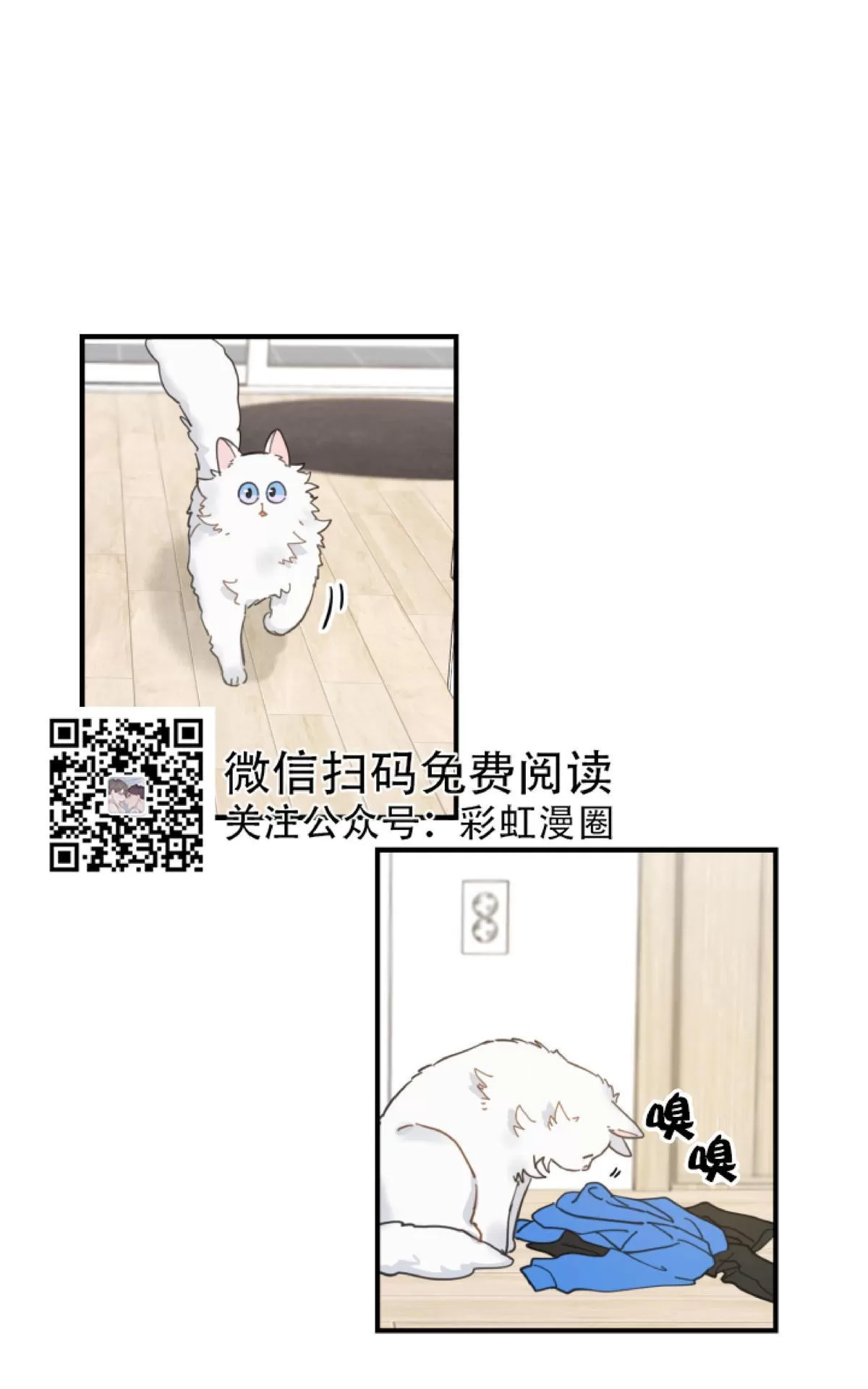 【我的专属喵喵/我的专属猫咪[耽美]】漫画-（ 第2话 ）章节漫画下拉式图片-48.jpg