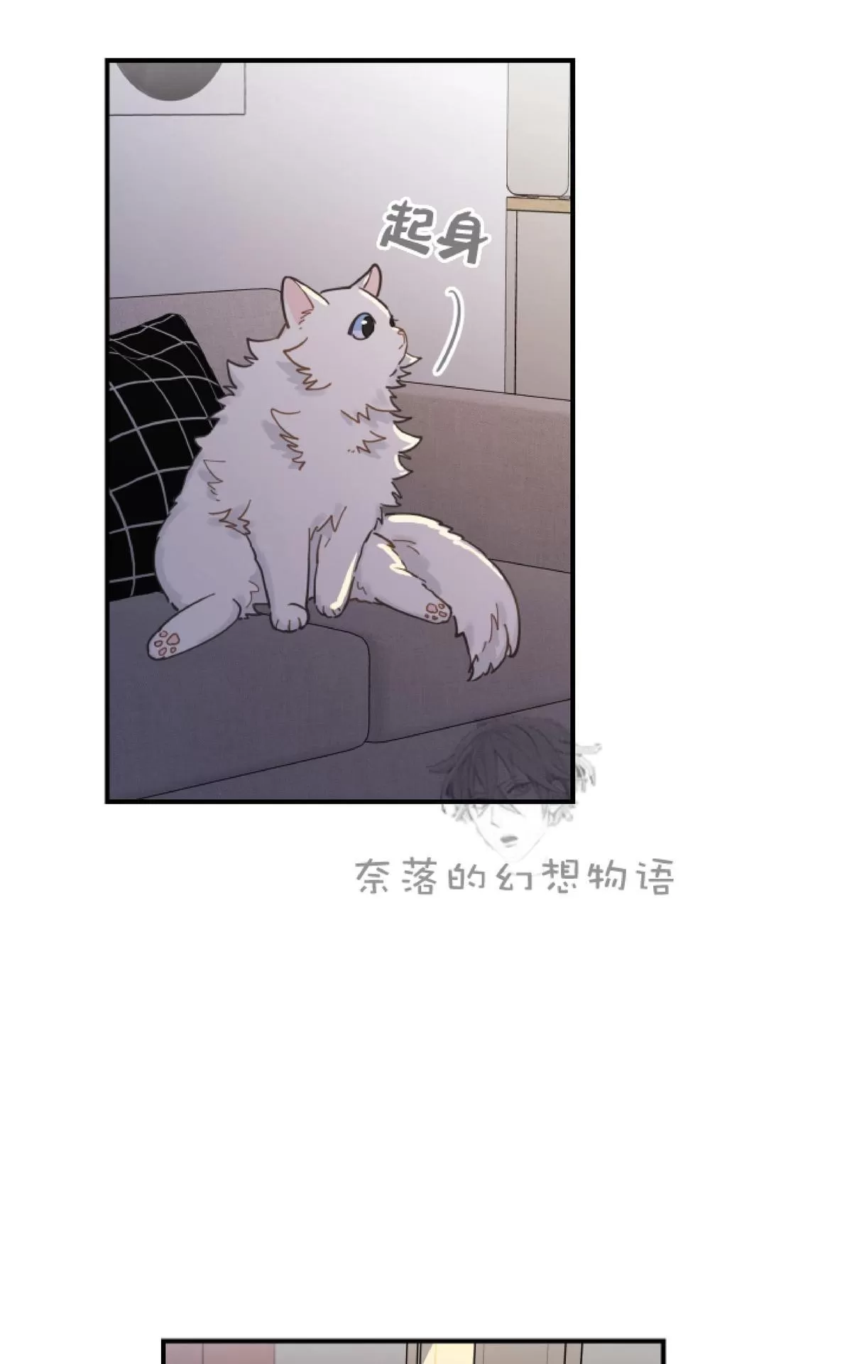 【我的专属喵喵/我的专属猫咪[耽美]】漫画-（ 第2话 ）章节漫画下拉式图片-66.jpg