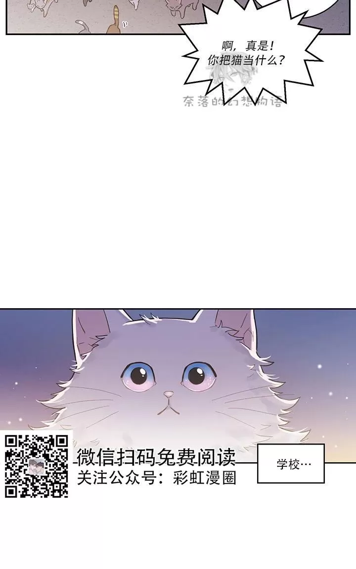 《我的专属喵喵/我的专属猫咪》漫画最新章节 第1话 免费下拉式在线观看章节第【10】张图片