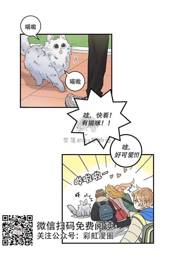 《我的专属喵喵/我的专属猫咪》漫画最新章节 第1话 免费下拉式在线观看章节第【34】张图片