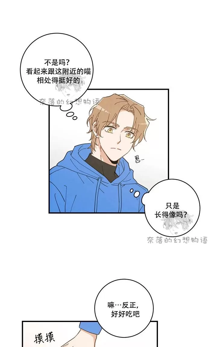 《我的专属喵喵/我的专属猫咪》漫画最新章节 第1话 免费下拉式在线观看章节第【48】张图片