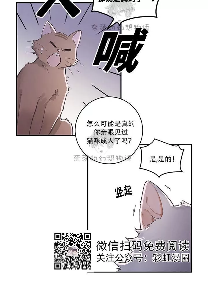 《我的专属喵喵/我的专属猫咪》漫画最新章节 第1话 免费下拉式在线观看章节第【6】张图片