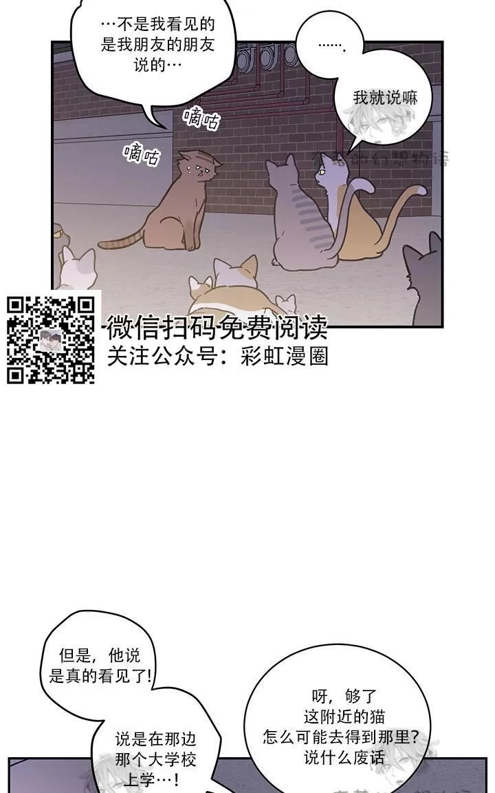 《我的专属喵喵/我的专属猫咪》漫画最新章节 第1话 免费下拉式在线观看章节第【8】张图片