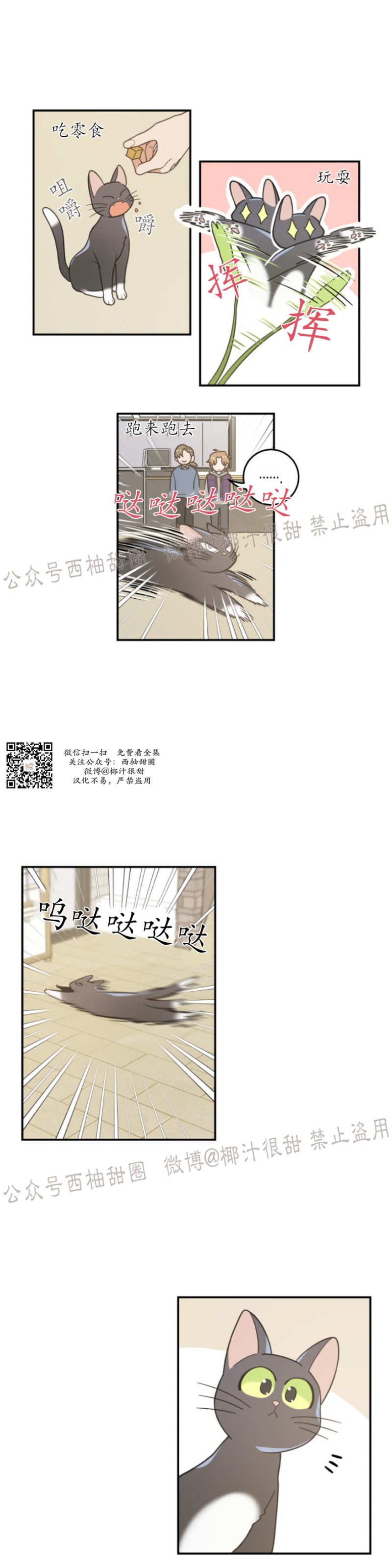 《我的专属喵喵/我的专属猫咪》漫画最新章节第28话免费下拉式在线观看章节第【1】张图片