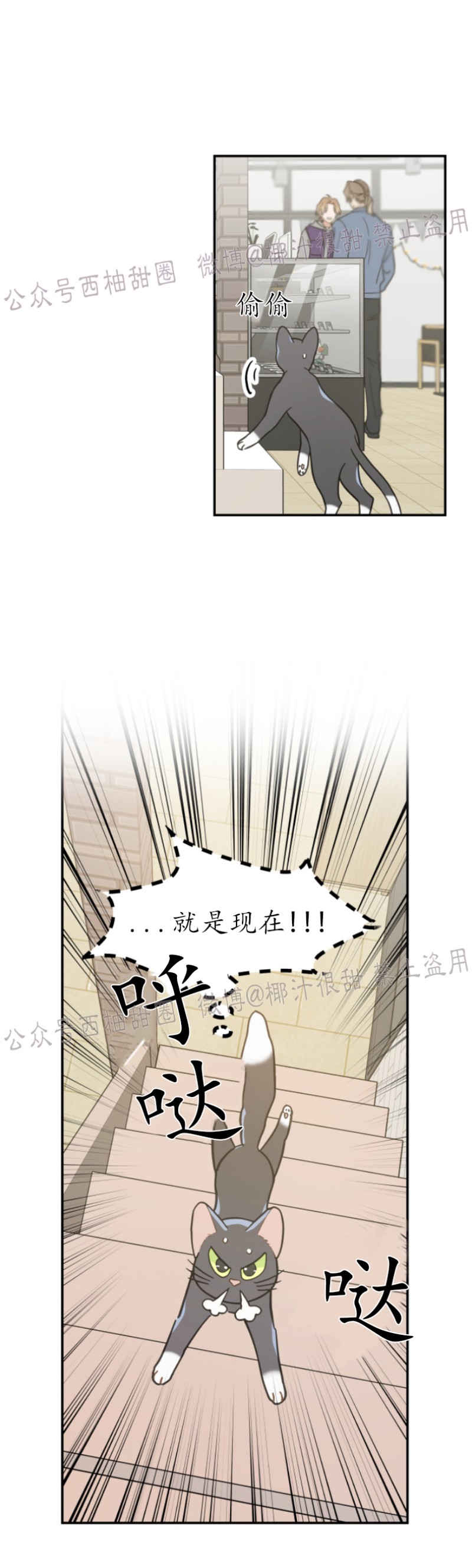 《我的专属喵喵/我的专属猫咪》漫画最新章节第28话免费下拉式在线观看章节第【4】张图片