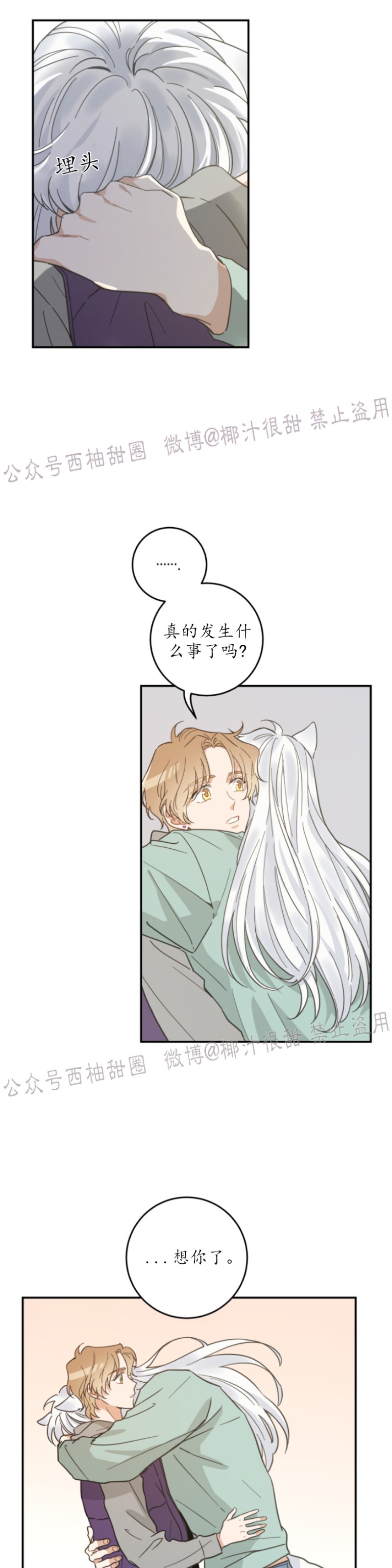 《我的专属喵喵/我的专属猫咪》漫画最新章节第28话免费下拉式在线观看章节第【15】张图片