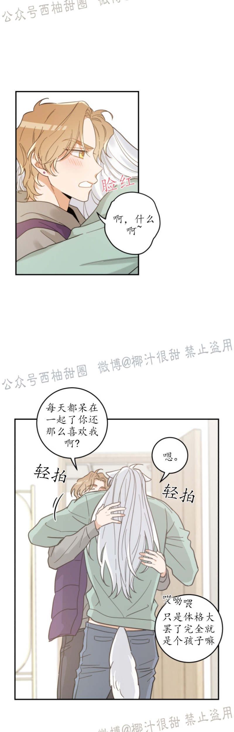 《我的专属喵喵/我的专属猫咪》漫画最新章节第28话免费下拉式在线观看章节第【17】张图片