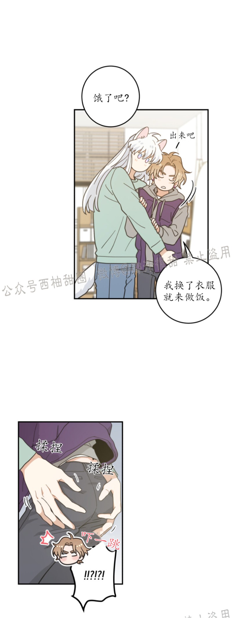 《我的专属喵喵/我的专属猫咪》漫画最新章节第28话免费下拉式在线观看章节第【19】张图片