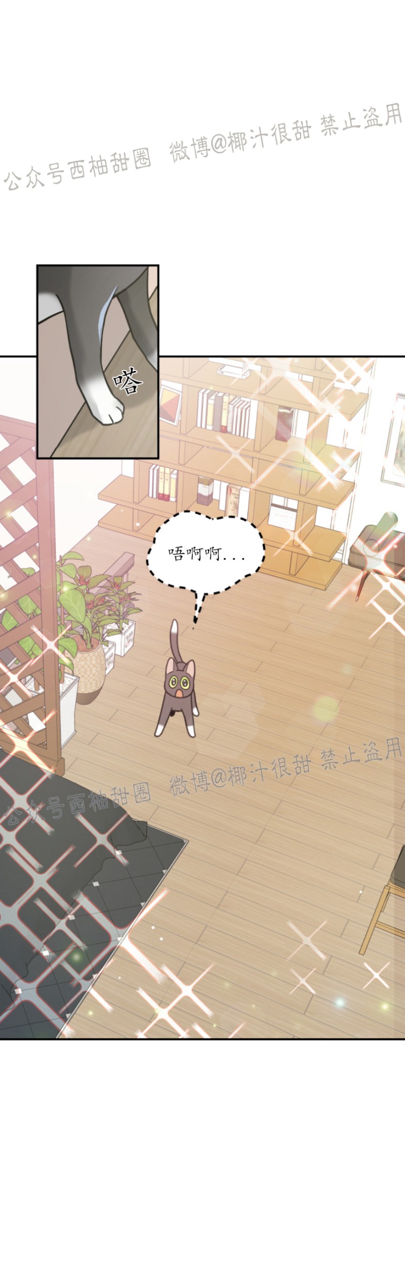 《我的专属喵喵/我的专属猫咪》漫画最新章节第28话免费下拉式在线观看章节第【5】张图片