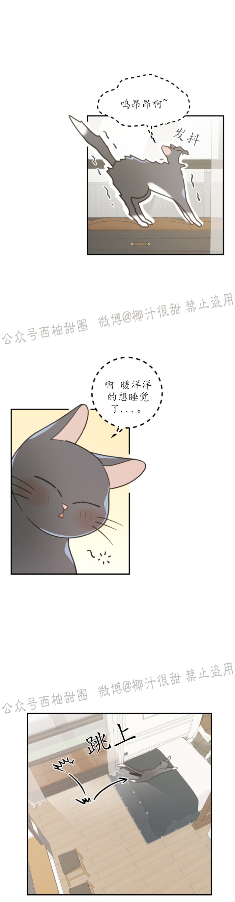 《我的专属喵喵/我的专属猫咪》漫画最新章节第28话免费下拉式在线观看章节第【7】张图片