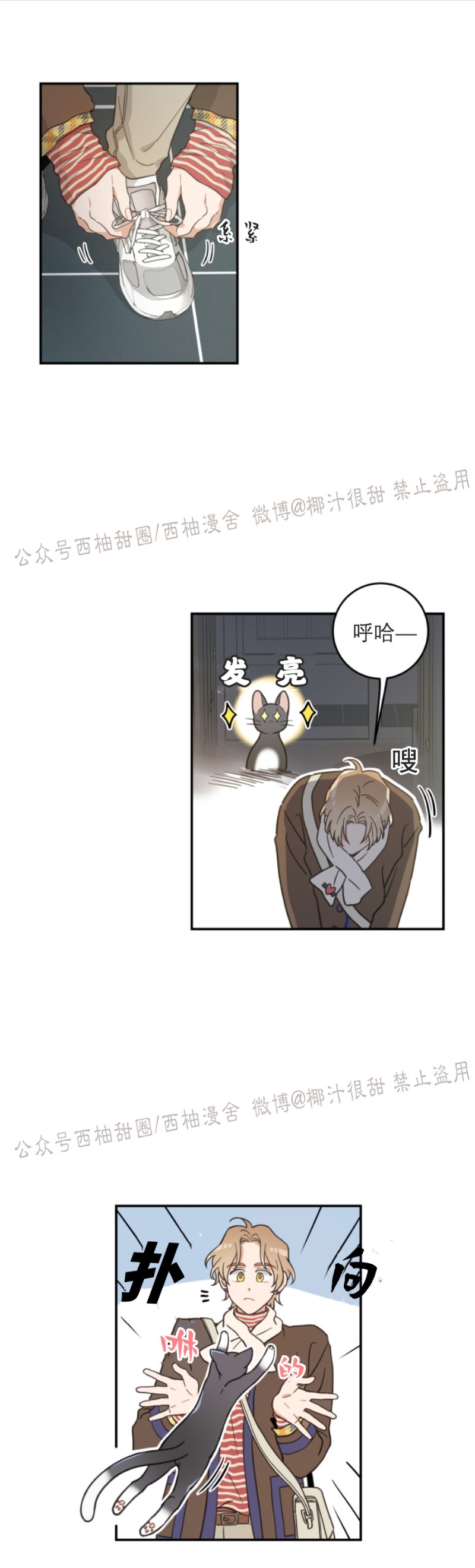 《我的专属喵喵/我的专属猫咪》漫画最新章节第29话免费下拉式在线观看章节第【1】张图片