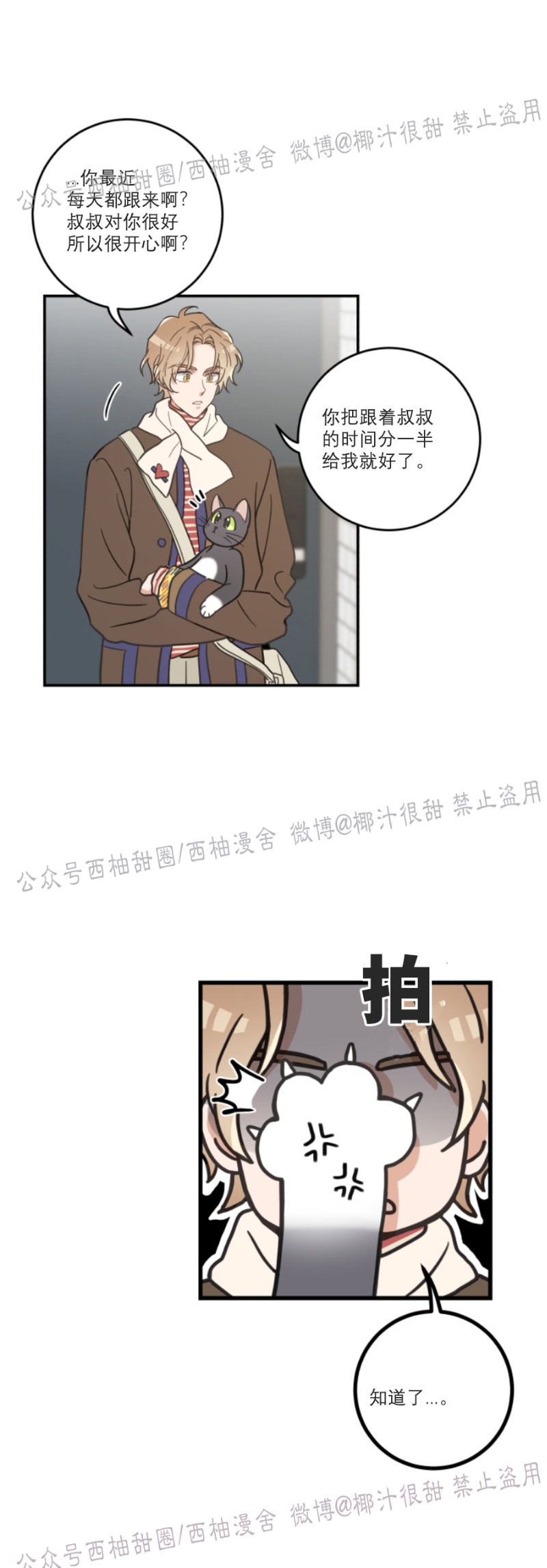 《我的专属喵喵/我的专属猫咪》漫画最新章节第29话免费下拉式在线观看章节第【2】张图片