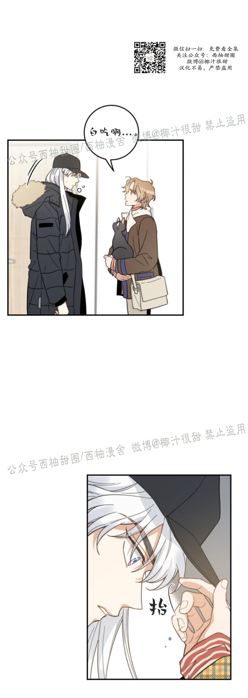 《我的专属喵喵/我的专属猫咪》漫画最新章节第29话免费下拉式在线观看章节第【5】张图片