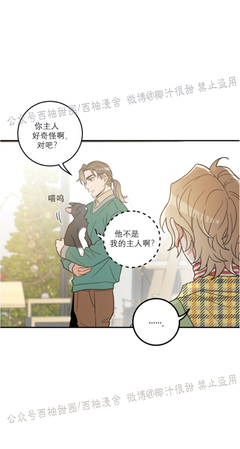 《我的专属喵喵/我的专属猫咪》漫画最新章节第29话免费下拉式在线观看章节第【20】张图片