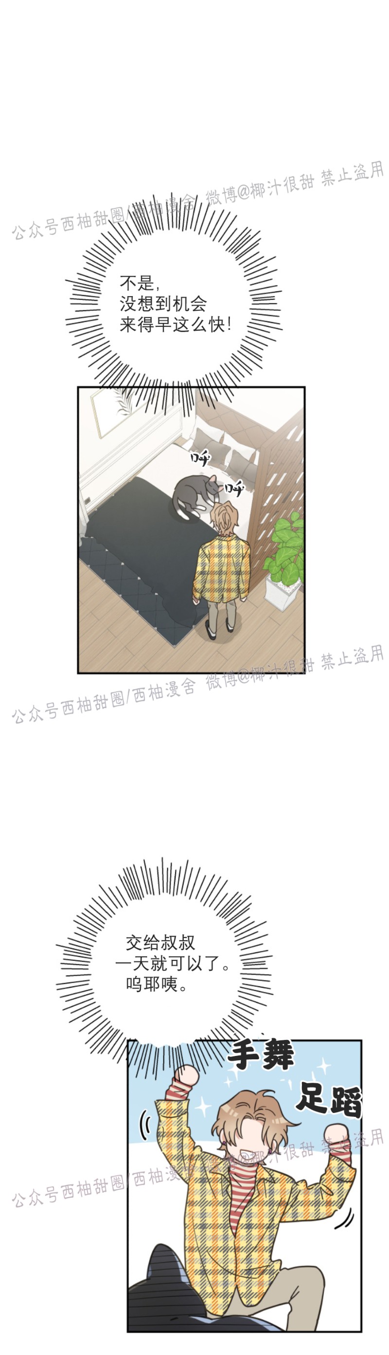 《我的专属喵喵/我的专属猫咪》漫画最新章节第29话免费下拉式在线观看章节第【24】张图片