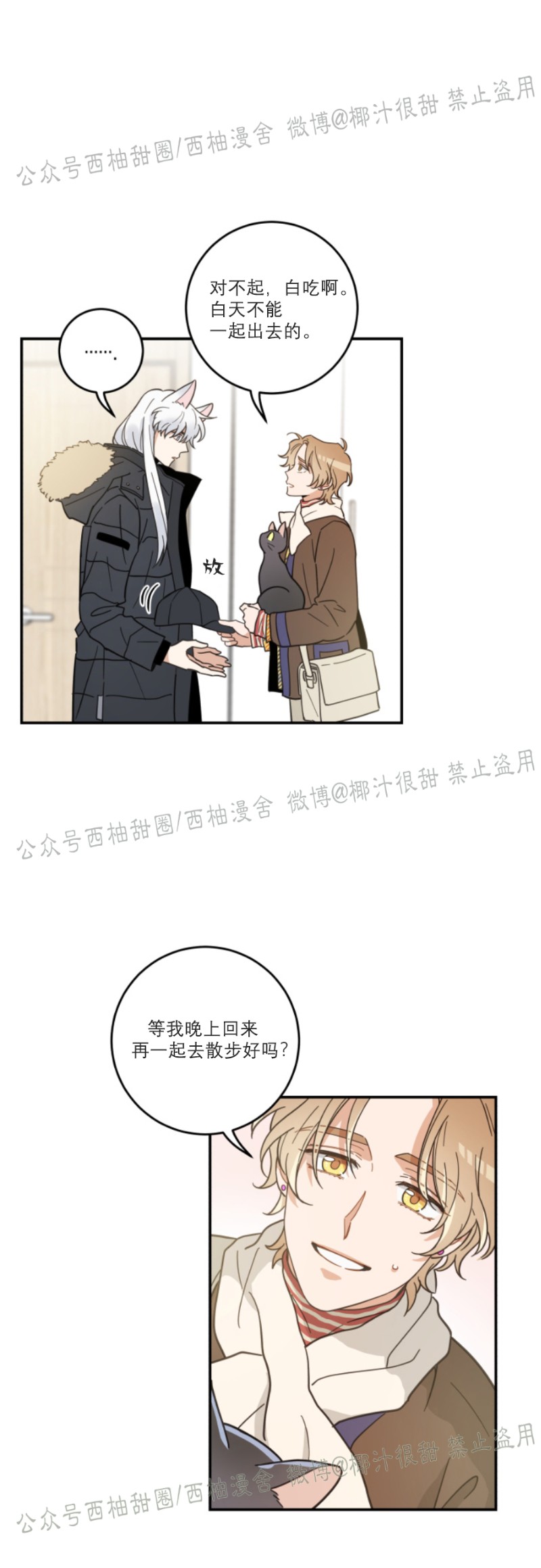 《我的专属喵喵/我的专属猫咪》漫画最新章节第29话免费下拉式在线观看章节第【6】张图片