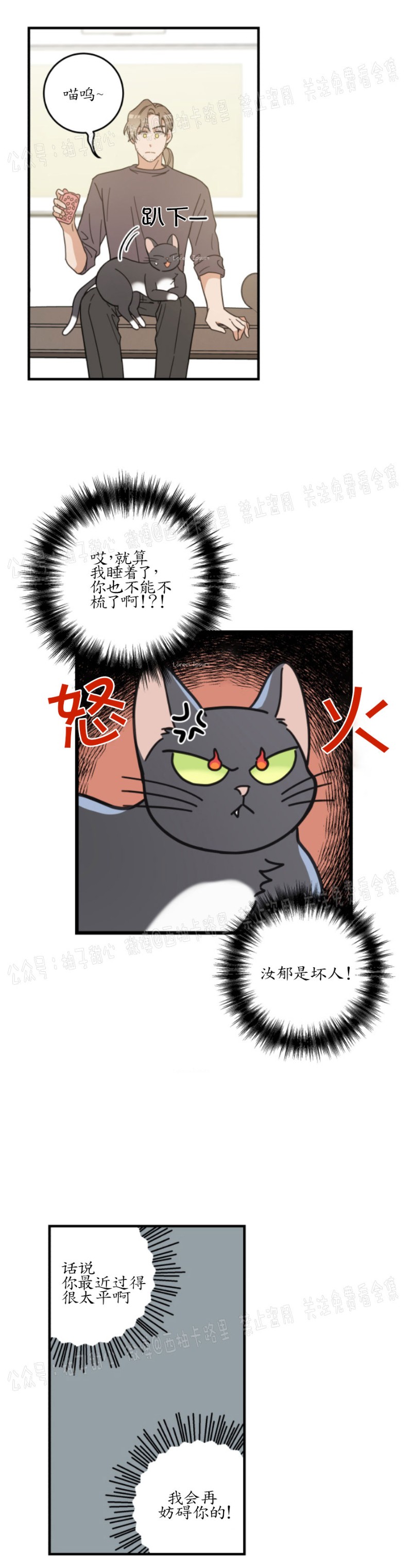 【我的专属喵喵/我的专属猫咪[腐漫]】漫画-（第32话）章节漫画下拉式图片-26.jpg