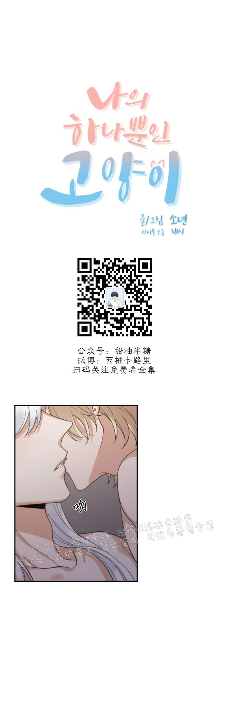 《我的专属喵喵/我的专属猫咪》漫画最新章节第31话免费下拉式在线观看章节第【3】张图片