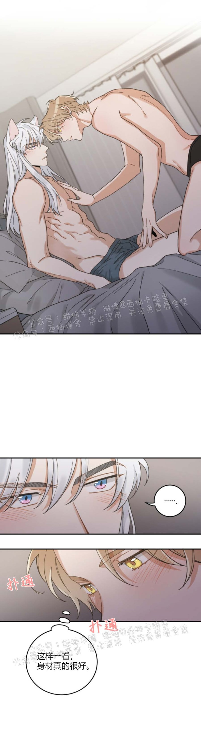 《我的专属喵喵/我的专属猫咪》漫画最新章节第31话免费下拉式在线观看章节第【2】张图片