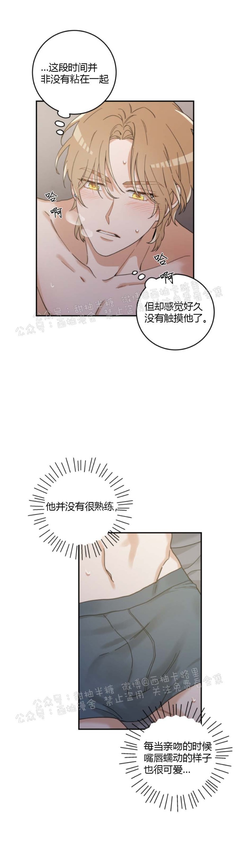 《我的专属喵喵/我的专属猫咪》漫画最新章节第31话免费下拉式在线观看章节第【6】张图片