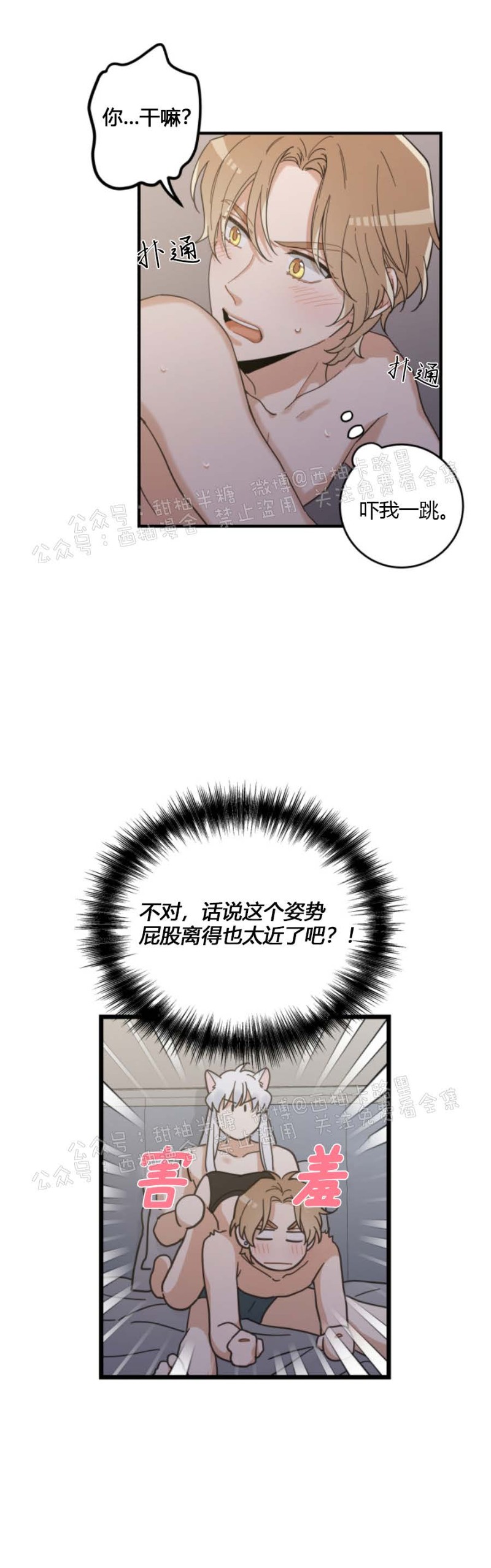 《我的专属喵喵/我的专属猫咪》漫画最新章节第31话免费下拉式在线观看章节第【11】张图片