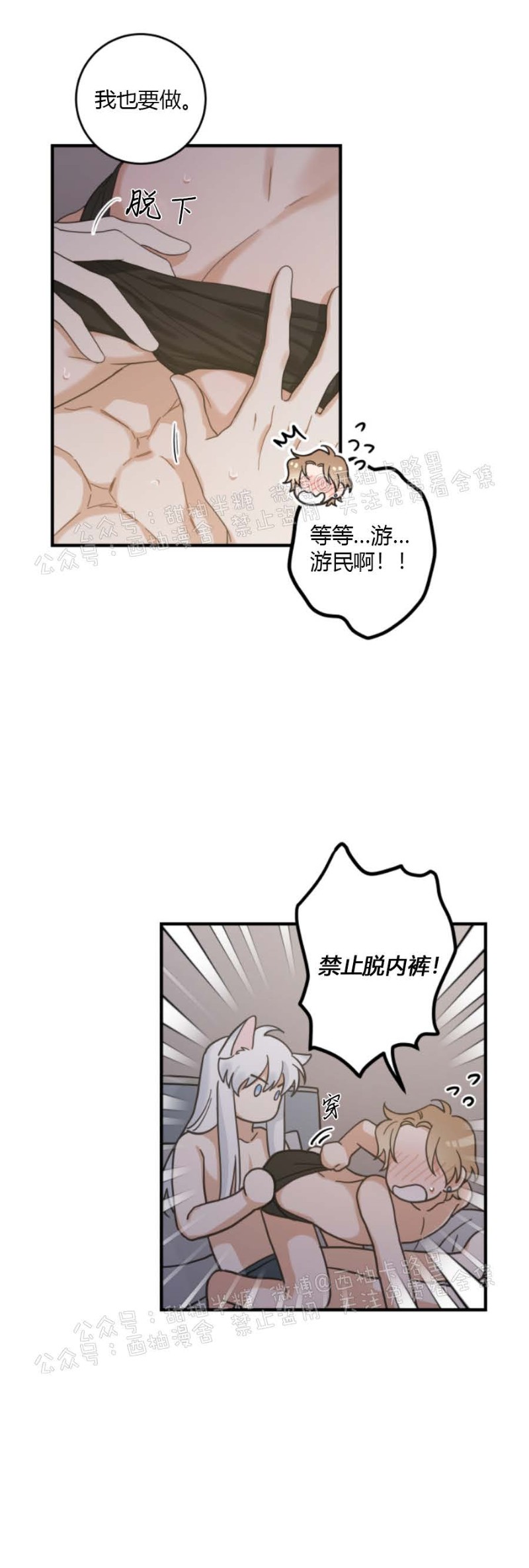 《我的专属喵喵/我的专属猫咪》漫画最新章节第31话免费下拉式在线观看章节第【12】张图片