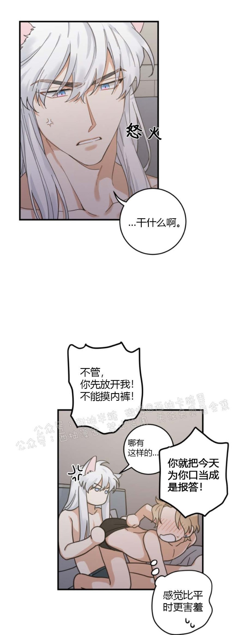 《我的专属喵喵/我的专属猫咪》漫画最新章节第31话免费下拉式在线观看章节第【13】张图片