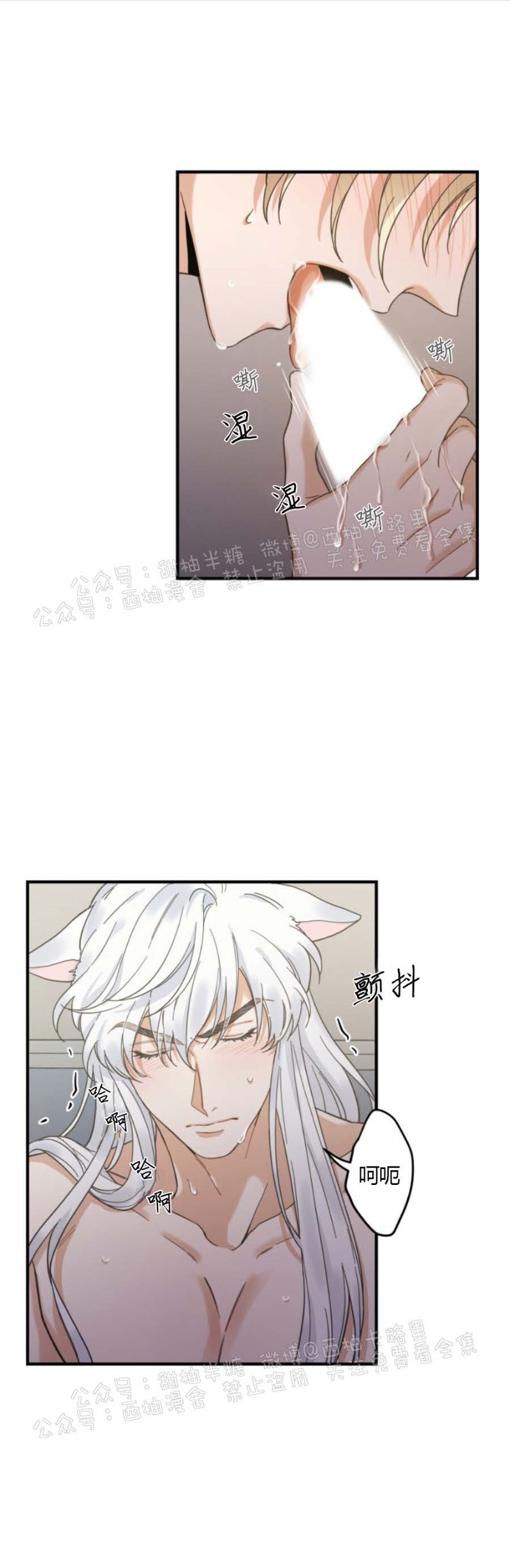 《我的专属喵喵/我的专属猫咪》漫画最新章节第31话免费下拉式在线观看章节第【17】张图片