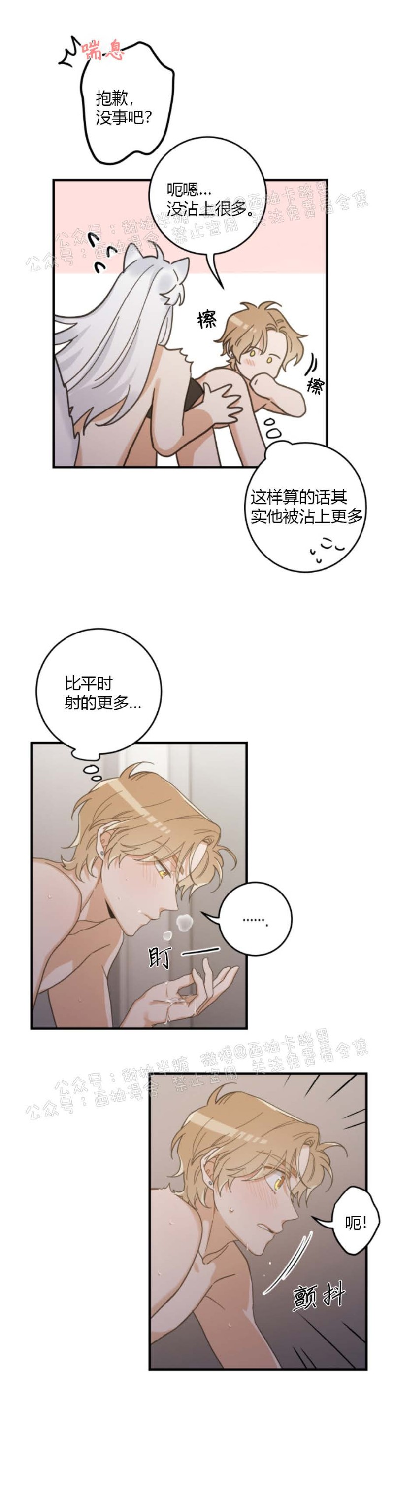 《我的专属喵喵/我的专属猫咪》漫画最新章节第31话免费下拉式在线观看章节第【19】张图片